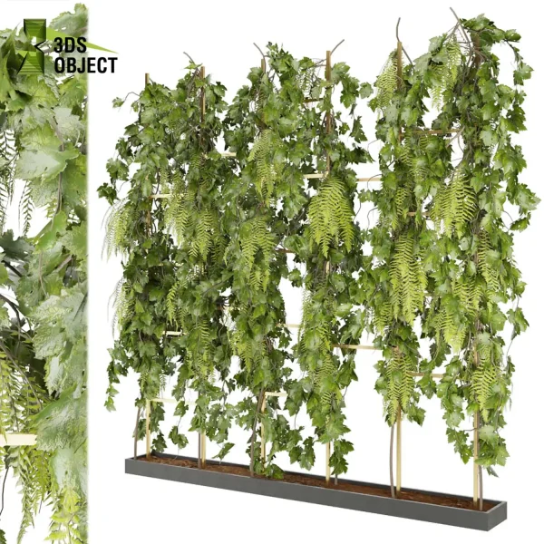 3d creeping ivy plant models botanical Visualization Landscape Foliage Vegetation Rendering Environment tree Design high low poly pothos cinema 4d 3ds max blender enscpae fbx obj Rhino Sketchup lumion Landscape Vegetation 3D Plant Library Plant Generator Vegetation Rendering Forest Simulation 3D Tree Generator Landscape Design Software