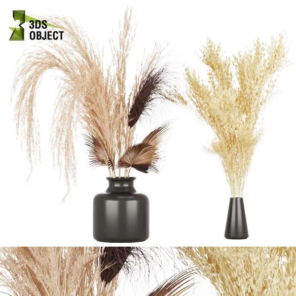 3d bouquet flower grass pampas plant models botanical Visualization Landscape Foliage Vegetation buy purchase Rendering Environment tree Design high low poly greenhouse balcony decorative