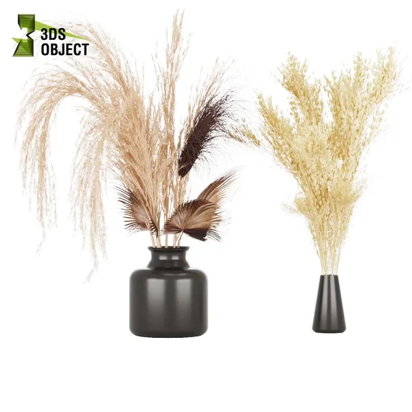 3d bouquet flower grass pampas plant models botanical Visualization Landscape Foliage Vegetation buy purchase Rendering Environment tree Design high low poly greenhouse balcony decorative