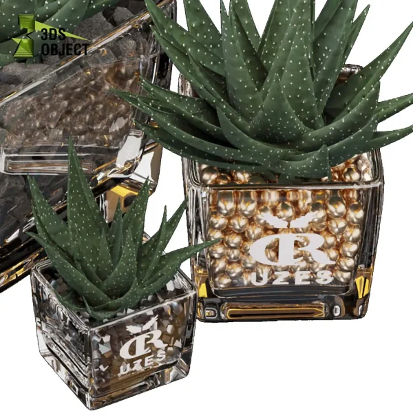 3d bouquet flower grass pampas plant models botanical Visualization Landscape Foliage Vegetation buy purchase Rendering Environment tree Design dried flower high low poly Haworthia concolor cinema 4d 3ds max blender enscpae fbx obj Rhino Sketchup lumion