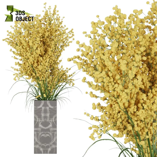 3d bouquet flower grass pampas plant models botanical Visualization Landscape Foliage Vegetation buy purchase Rendering Environment tree Design dried flower high low poly Haworthia concolor cinema 4d 3ds max blender enscpae fbx obj Rhino Sketchup lumion mimosa flower