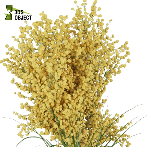 3d bouquet flower grass pampas plant models botanical Visualization Landscape Foliage Vegetation buy purchase Rendering Environment tree Design dried flower high low poly Haworthia concolor cinema 4d 3ds max blender enscpae fbx obj Rhino Sketchup lumion mimosa flower