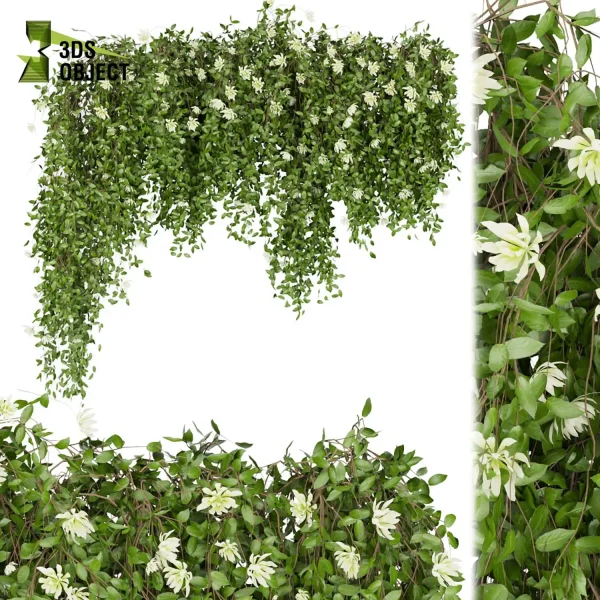 3d creeping ivy plant models botanical Visualization Landscape Foliage Vegetation Rendering Environment tree Design high low poly pothos cinema 4d 3ds max blender enscpae fbx obj Rhino Sketchup lumion Landscape Vegetation 3D Plant Library Plant Generator Vegetation Rendering Forest Simulation 3D Tree Generator Landscape Design Software