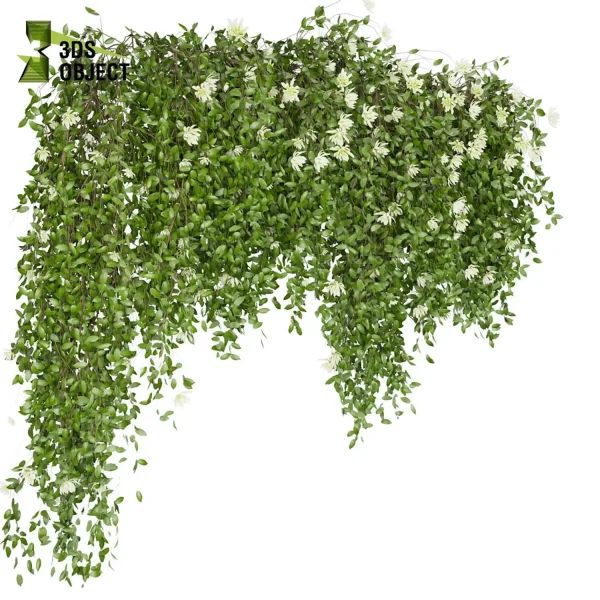 3d creeping ivy plant models botanical Visualization Landscape Foliage Vegetation Rendering Environment tree Design high low poly pothos cinema 4d 3ds max blender enscpae fbx obj Rhino Sketchup lumion Landscape Vegetation 3D Plant Library Plant Generator Vegetation Rendering Forest Simulation 3D Tree Generator Landscape Design Software