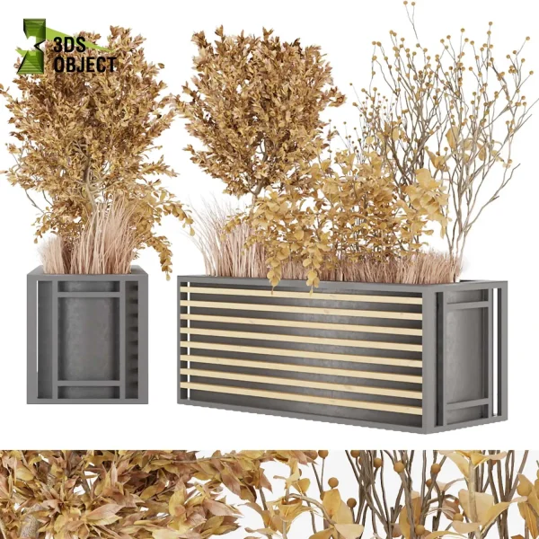 3d bouquet tree bundle Urban environment plant models botanical Visualization Landscape Foliage Vegetation buy purchase Rendering tree Design dried flower high low poly cinema 4d 3ds max blender enscpae fbx obj Rhino Sketchup lumion grass bush bench Monstera, bush, grass, peace lily 3D Bouquet Models Bouquet Plant Assets Flower Bouquet Models Digital Bouquet Design