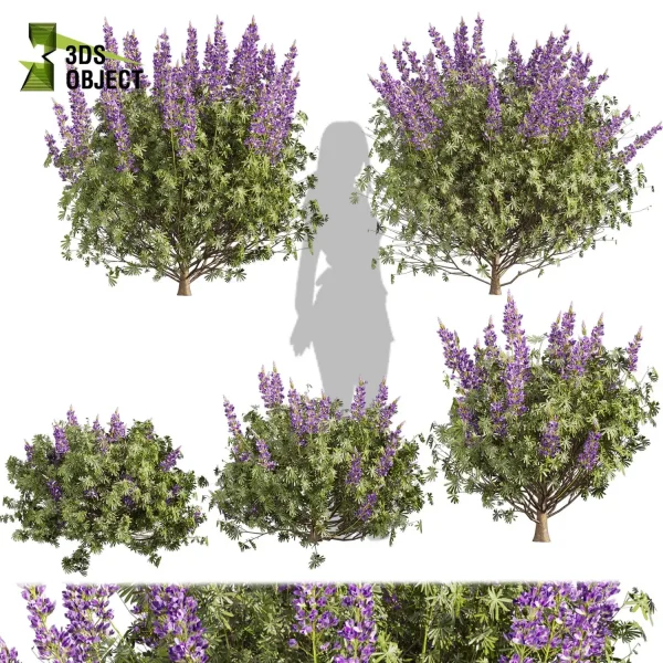 3d bush plant models botanical Visualization Landscape Foliage Vegetation buy purchase Rendering Environment tree lupinus albifrons Design high low poly greenhouse balcony decorative hamedorea 3D architectural visualization cinema 4d 3ds max blender enscpae fbx obj Rhino Sketchup lumion