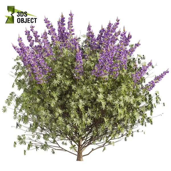 3d bush plant models botanical Visualization Landscape Foliage Vegetation buy purchase Rendering Environment tree lupinus albifrons Design high low poly greenhouse balcony decorative hamedorea 3D architectural visualization cinema 4d 3ds max blender enscpae fbx obj Rhino Sketchup lumion