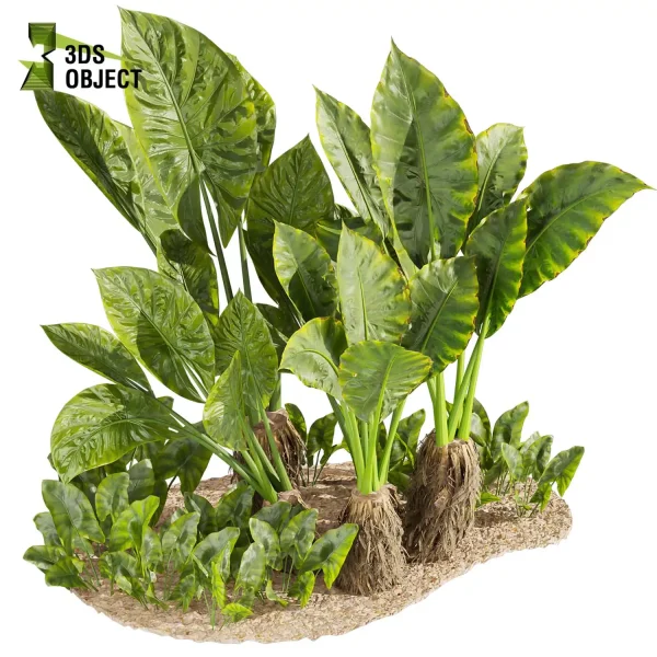 3d garden plant models botanical Visualization Landscape Foliage alocasia, macrorrhizos, gian, taro Vegetation Rendering Environment tree Design high poly Bush banana monstera fern pampas palm Virtual Garden Design Botanical Simulation Plant Visualization Vegetation Modeling 3D architectural visualization cinema 4d 3ds max blender enscpae fbx obj Rhino Sketchup lumion