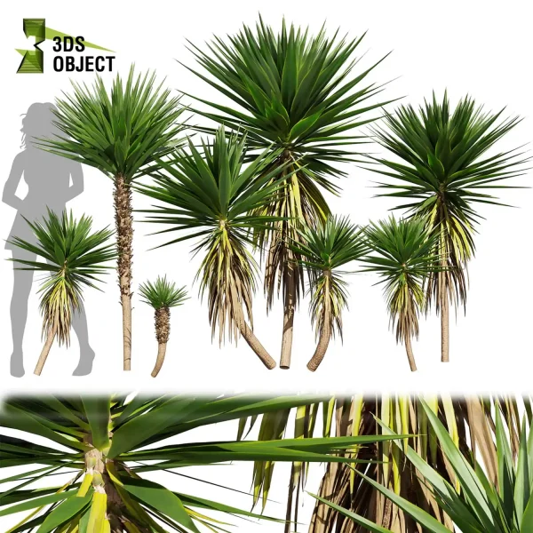 3d bush plant models botanical Visualization Landscape Foliage palm Spineless Yucca Vegetation buy purchase Rendering Environment tree Design high low poly greenhouse balcony decorative hamedorea 3D architectural visualization cinema 4d 3ds max blender enscpae fbx obj Rhino Sketchup lumion