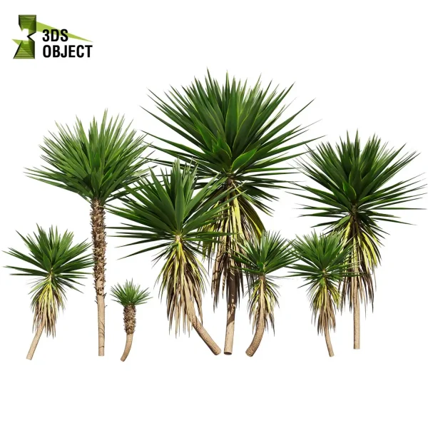 3d bush plant models botanical Visualization Landscape Foliage palm Spineless Yucca Vegetation buy purchase Rendering Environment tree Design high low poly greenhouse balcony decorative hamedorea 3D architectural visualization cinema 4d 3ds max blender enscpae fbx obj Rhino Sketchup lumion