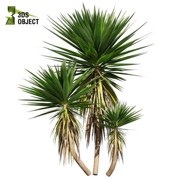 3d bush plant models botanical Visualization Landscape Foliage palm Spineless Yucca Vegetation buy purchase Rendering Environment tree Design high low poly greenhouse balcony decorative hamedorea 3D architectural visualization cinema 4d 3ds max blender enscpae fbx obj Rhino Sketchup lumion