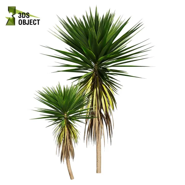 3d bush plant models botanical Visualization Landscape Foliage palm Spineless Yucca Vegetation buy purchase Rendering Environment tree Design high low poly greenhouse balcony decorative hamedorea 3D architectural visualization cinema 4d 3ds max blender enscpae fbx obj Rhino Sketchup lumion