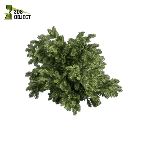 3d bush plant models botanical Visualization Landscape Foliage Vegetation buy purchase Rendering Environment tree abies balsamea Design high low poly greenhouse balcony decorative hamedorea 3D architectural visualization cinema 4d 3ds max blender enscpae fbx obj Rhino Sketchup lumion