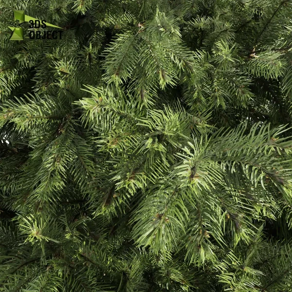 3d bush plant models botanical Visualization Landscape Foliage Vegetation buy purchase Rendering Environment tree abies balsamea Design high low poly greenhouse balcony decorative hamedorea 3D architectural visualization cinema 4d 3ds max blender enscpae fbx obj Rhino Sketchup lumion