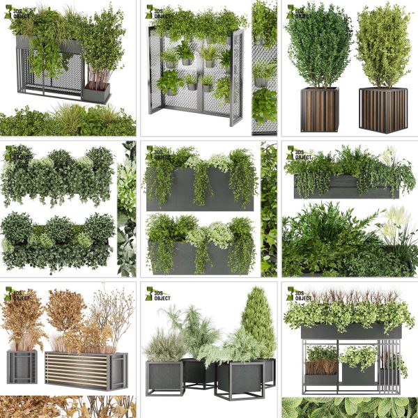 3d box tree bundle environment plant models botanical Visualization Landscape Foliage Vegetation buy purchase Rendering tree Design dried flower high low poly cinema 4d 3ds max blender enscpae fbx obj Rhino Sketchup lumion grass bush bench Monstera, bush, grass, peace lily Plant Simulation Virtual Botany Ecological Simulation Digital Horticulture