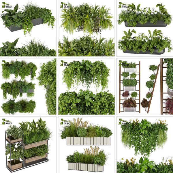 3d box tree bundle environment plant models botanical Visualization Landscape Foliage Vegetation buy purchase Rendering tree Design dried flower high low poly cinema 4d 3ds max blender enscpae fbx obj Rhino Sketchup lumion grass bush bench Monstera, bush, grass, peace lily Plant Simulation Virtual Botany Ecological Simulation Digital Horticulture