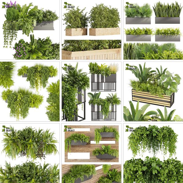 3d box tree bundle environment plant models botanical Visualization Landscape Foliage Vegetation buy purchase Rendering tree Design dried flower high low poly cinema 4d 3ds max blender enscpae fbx obj Rhino Sketchup lumion grass bush bench Monstera, bush, grass, peace lily Plant Simulation Virtual Botany Ecological Simulation Digital Horticulture