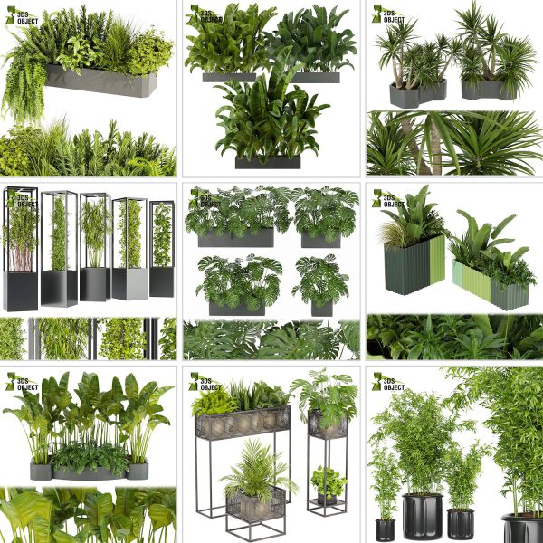 3d box tree bundle low poly environment plant models botanical Visualization Landscape Foliage Vegetation buy purchase Rendering tree Design dried flower high low poly cinema 4d 3ds max blender enscpae fbx obj Rhino Sketchup lumion grass bush bench Monstera, bush, grass, peace lily Plant Simulation Virtual Botany Ecological Simulation Digital Horticulture