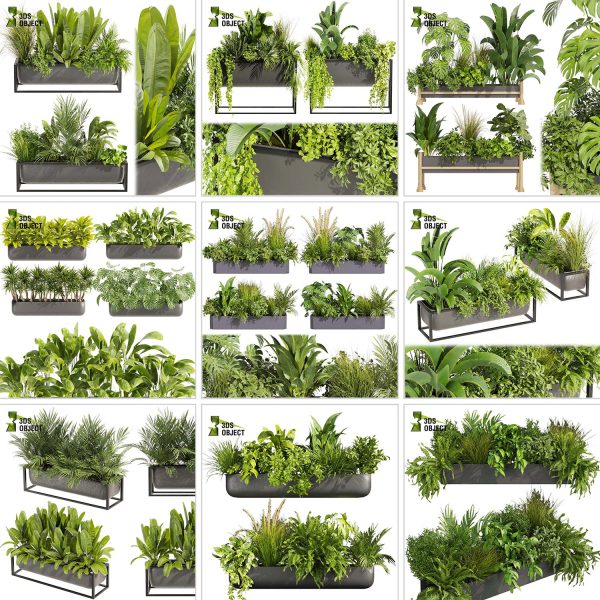 3d box tree bundle low poly environment plant models botanical Visualization Landscape Foliage Vegetation buy purchase Rendering tree Design dried flower high low poly cinema 4d 3ds max blender enscpae fbx obj Rhino Sketchup lumion grass bush bench Monstera, bush, grass, peace lily Plant Simulation Virtual Botany Ecological Simulation Digital Horticulture