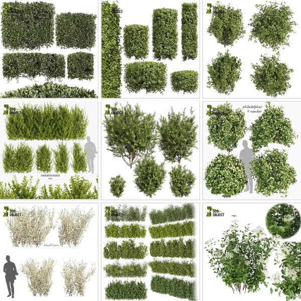 3d box tree bundle low poly environment plant models botanical Visualization Landscape Foliage Vegetation buy purchase Rendering tree Design dried flower high low poly cinema 4d 3ds max blender enscpae fbx obj Rhino Sketchup lumion grass bush bench Monstera, bush, grass, peace lily Plant Simulation Virtual Botany Ecological Simulation Digital Horticulture