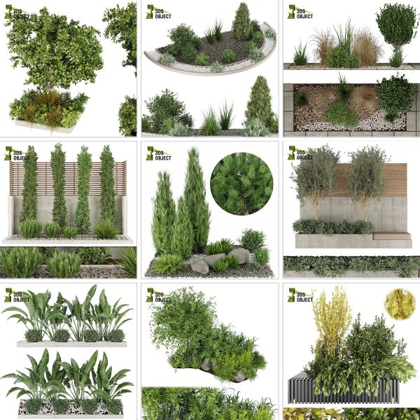 3d box tree bundle low poly environment plant models botanical Visualization Landscape Foliage Vegetation buy purchase Rendering tree Design dried flower high low poly cinema 4d 3ds max blender enscpae fbx obj Rhino Sketchup lumion grass bush bench Monstera, bush, grass, peace lily Plant Simulation Virtual Botany Ecological Simulation Digital Horticulture