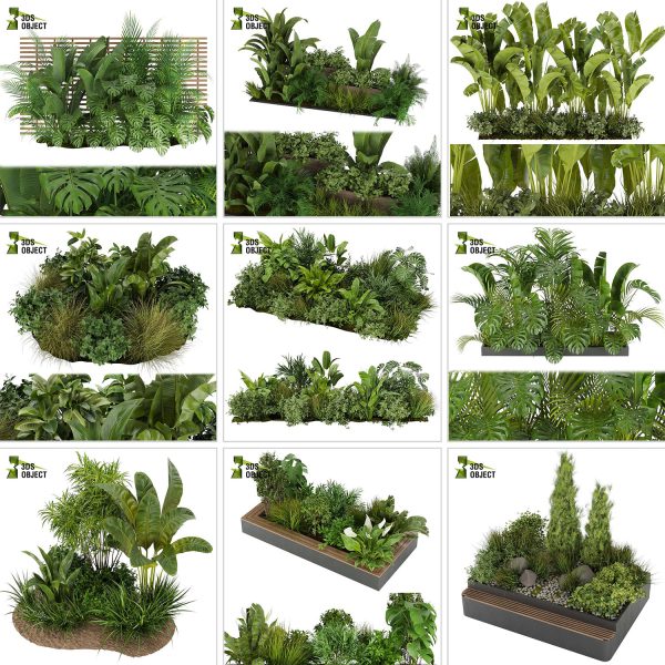 3d box tree bundle low poly environment plant models botanical Visualization Landscape Foliage Vegetation buy purchase Rendering tree Design dried flower high low poly cinema 4d 3ds max blender enscpae fbx obj Rhino Sketchup lumion grass bush bench Monstera, bush, grass, peace lily Plant Simulation Virtual Botany Ecological Simulation Digital Horticulture