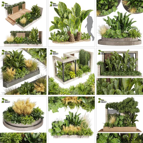 3d box tree bundle low poly environment plant models botanical Visualization Landscape Foliage Vegetation buy purchase Rendering tree Design dried flower high low poly cinema 4d 3ds max blender enscpae fbx obj Rhino Sketchup lumion grass bush bench Monstera, bush, grass, peace lily Plant Simulation Virtual Botany Ecological Simulation Digital Horticulture