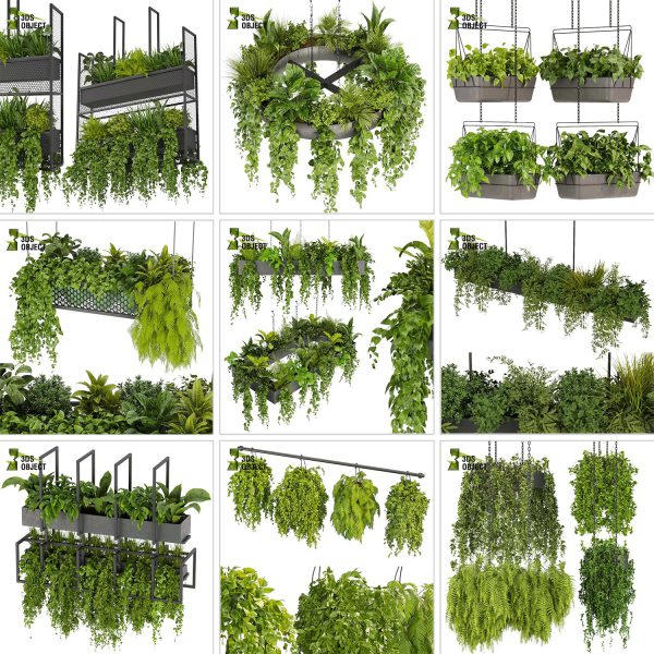 3d box tree bundle low poly environment plant models botanical Visualization Landscape Foliage Vegetation buy purchase Rendering tree Design dried flower high low poly cinema 4d 3ds max blender enscpae fbx obj Rhino Sketchup lumion grass bush bench Monstera, bush, grass, peace lily Plant Simulation Virtual Botany Ecological Simulation Digital Horticulture