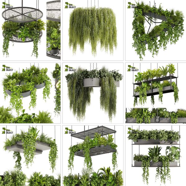 3d box tree bundle low poly environment plant models botanical Visualization Landscape Foliage Vegetation buy purchase Rendering tree Design dried flower high low poly cinema 4d 3ds max blender enscpae fbx obj Rhino Sketchup lumion grass bush bench Monstera, bush, grass, peace lily Plant Simulation Virtual Botany Ecological Simulation Digital Horticulture