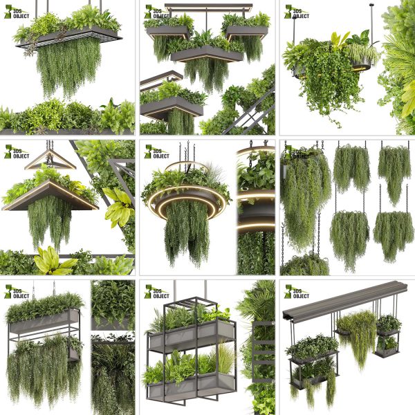 3d box tree bundle low poly environment plant models botanical Visualization Landscape Foliage Vegetation buy purchase Rendering tree Design dried flower high low poly cinema 4d 3ds max blender enscpae fbx obj Rhino Sketchup lumion grass bush bench Monstera, bush, grass, peace lily Plant Simulation Virtual Botany Ecological Simulation Digital Horticulture