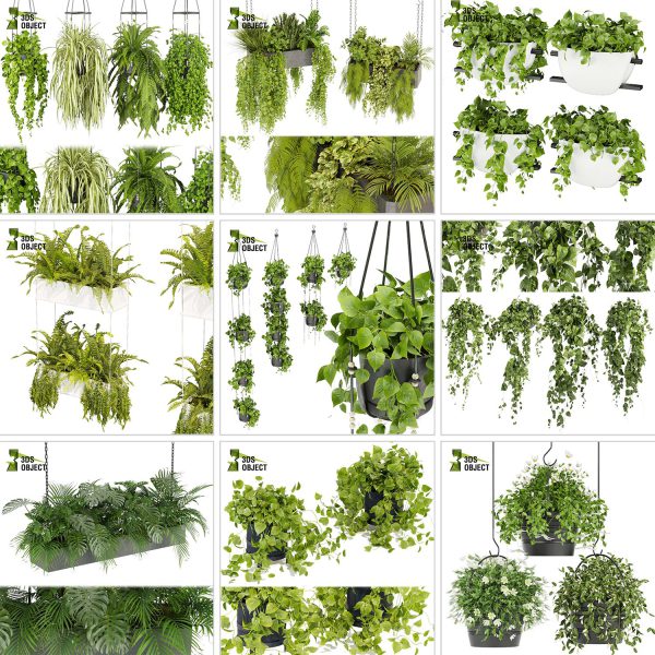 3d box tree bundle low poly environment plant models botanical Visualization Landscape Foliage Vegetation buy purchase Rendering tree Design dried flower high low poly cinema 4d 3ds max blender enscpae fbx obj Rhino Sketchup lumion grass bush bench Monstera, bush, grass, peace lily Plant Simulation Virtual Botany Ecological Simulation Digital Horticulture
