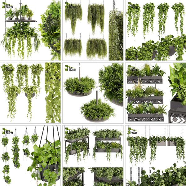 3d box tree bundle low poly environment plant models botanical Visualization Landscape Foliage Vegetation buy purchase Rendering tree Design dried flower high low poly cinema 4d 3ds max blender enscpae fbx obj Rhino Sketchup lumion grass bush bench Monstera, bush, grass, peace lily Plant Simulation Virtual Botany Ecological Simulation Digital Horticulture