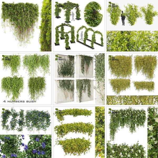 3d box tree bundle low poly environment plant models botanical Visualization Landscape Foliage Vegetation buy purchase Rendering tree Design dried flower high low poly cinema 4d 3ds max blender enscpae fbx obj Rhino Sketchup lumion grass bush bench Monstera, bush, grass, peace lily Plant Simulation Virtual Botany Ecological Simulation Digital Horticulture