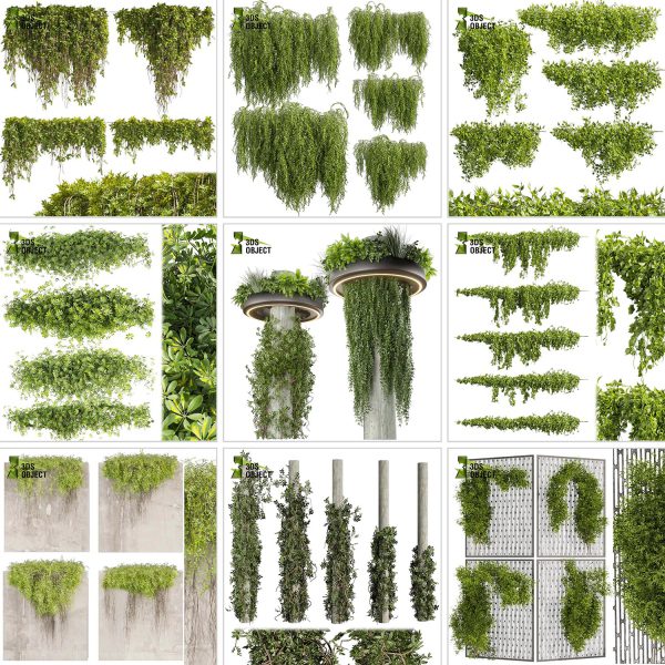 3d box tree bundle low poly environment plant models botanical Visualization Landscape Foliage Vegetation buy purchase Rendering tree Design dried flower high low poly cinema 4d 3ds max blender enscpae fbx obj Rhino Sketchup lumion grass bush bench Monstera, bush, grass, peace lily Plant Simulation Virtual Botany Ecological Simulation Digital Horticulture