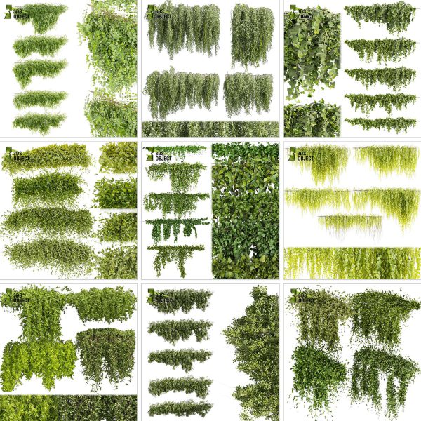 3d box tree bundle low poly environment plant models botanical Visualization Landscape Foliage Vegetation buy purchase Rendering tree Design dried flower high low poly cinema 4d 3ds max blender enscpae fbx obj Rhino Sketchup lumion grass bush bench Monstera, bush, grass, peace lily Plant Simulation Virtual Botany Ecological Simulation Digital Horticulture
