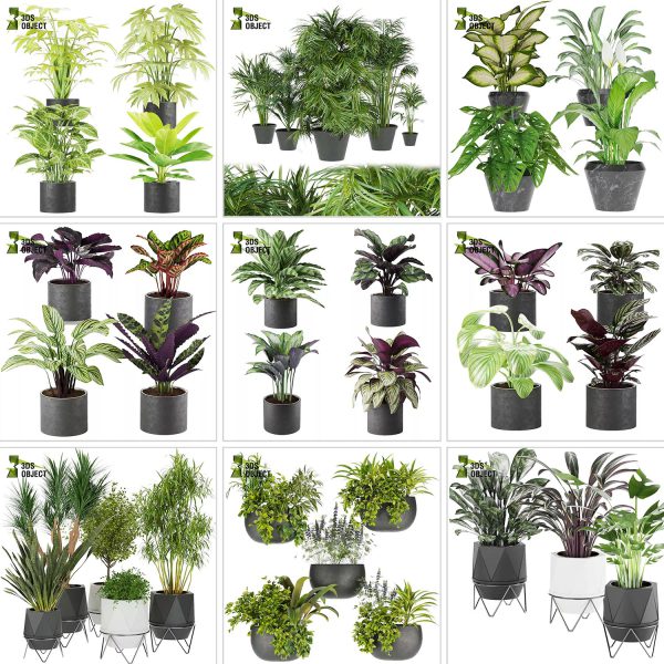 3d box tree bundle pot low poly environment plant models botanical Visualization Landscape Foliage Vegetation buy purchase Rendering tree Design dried flower high low poly cinema 4d 3ds max blender enscpae fbx obj Rhino Sketchup lumion grass bush bench Monstera, bush, grass, peace lily Plant Simulation Virtual Botany Ecological Simulation Digital Horticulture