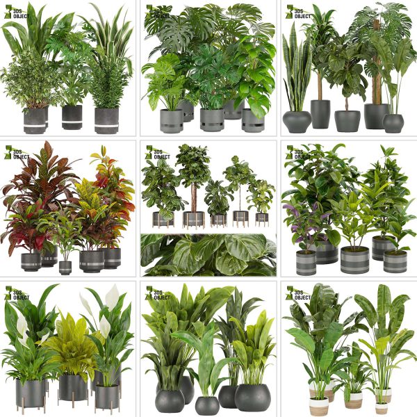 3d box tree bundle pot low poly environment plant models botanical Visualization Landscape Foliage Vegetation buy purchase Rendering tree Design dried flower high low poly cinema 4d 3ds max blender enscpae fbx obj Rhino Sketchup lumion grass bush bench Monstera, bush, grass, peace lily Plant Simulation Virtual Botany Ecological Simulation Digital Horticulture