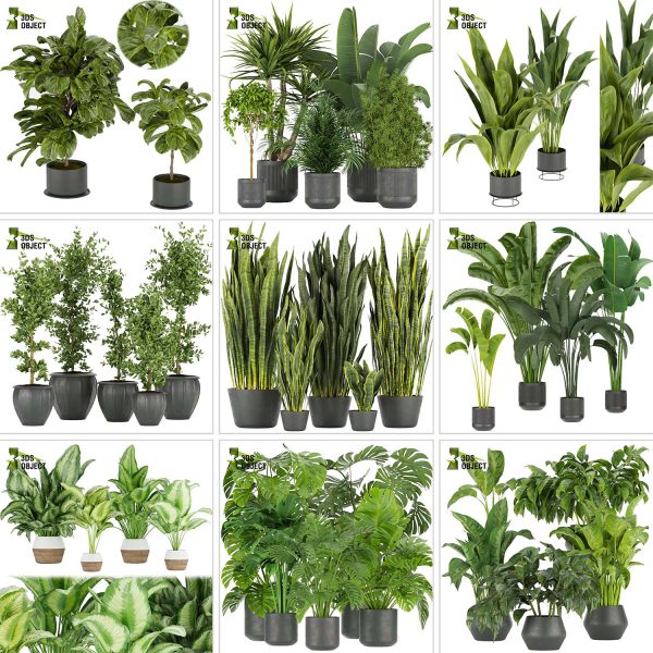 3d box tree bundle pot low poly environment plant models botanical Visualization Landscape Foliage Vegetation buy purchase Rendering tree Design dried flower high low poly cinema 4d 3ds max blender enscpae fbx obj Rhino Sketchup lumion grass bush bench Monstera, bush, grass, peace lily Plant Simulation Virtual Botany Ecological Simulation Digital Horticulture