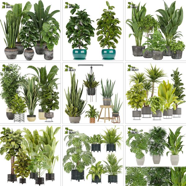 3d box tree bundle pot low poly environment plant models botanical Visualization Landscape Foliage Vegetation buy purchase Rendering tree Design dried flower high low poly cinema 4d 3ds max blender enscpae fbx obj Rhino Sketchup lumion grass bush bench Monstera, bush, grass, peace lily Plant Simulation Virtual Botany Ecological Simulation Digital Horticulture