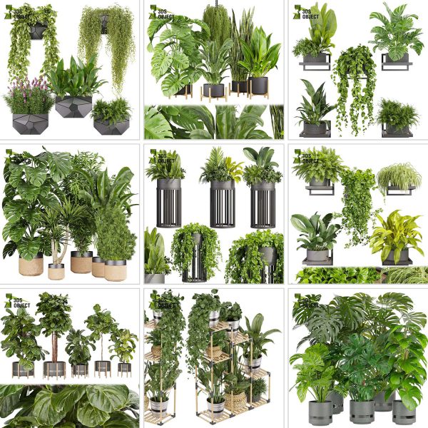 3d box tree bundle pot low poly environment plant models botanical Visualization Landscape Foliage Vegetation buy purchase Rendering tree Design dried flower high low poly cinema 4d 3ds max blender enscpae fbx obj Rhino Sketchup lumion grass bush bench Monstera, bush, grass, peace lily Plant Simulation Virtual Botany Ecological Simulation Digital Horticulture
