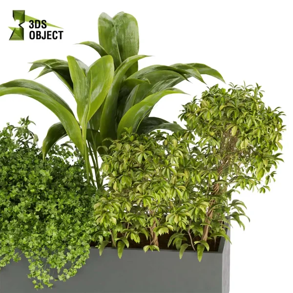 3d model plant free Vegetation tree box Foliage Pothos palm grass pampas banana fernhigh poly Botanical Rendering Nature Simulation Plant Modeling Software 3D Garden Design Forest Simulation 3D Tree Generator Landscape Design Software cinema 4d 3ds max blender enscape fbx obj Rhino Sketchup lumion