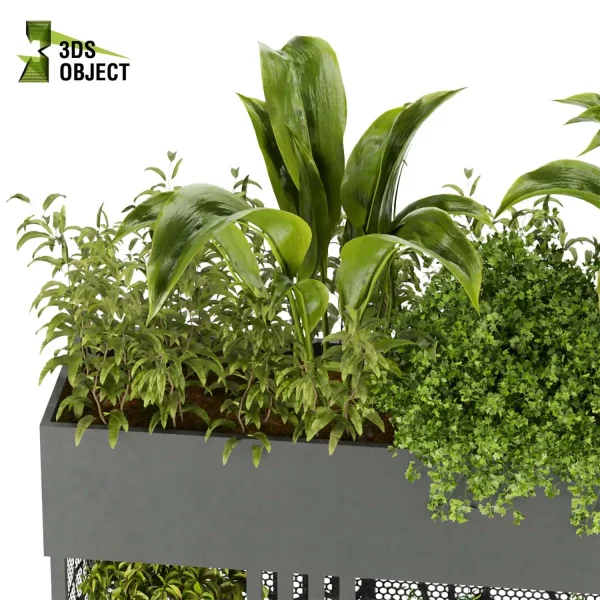 3d model plant free Vegetation tree box Foliage Pothos palm grass pampas banana fernhigh poly Botanical Rendering Nature Simulation Plant Modeling Software 3D Garden Design Forest Simulation 3D Tree Generator Landscape Design Software cinema 4d 3ds max blender enscape fbx obj Rhino Sketchup lumion