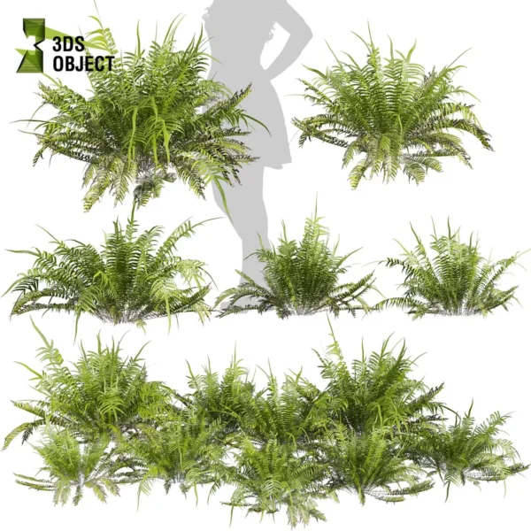 Bush + Fern Hybrid 3D Plant Model