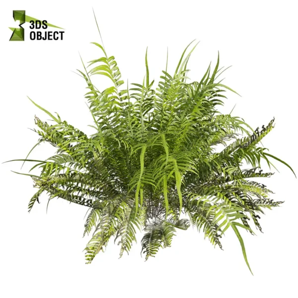 Bush + Fern Hybrid 3D Plant Model Collection
