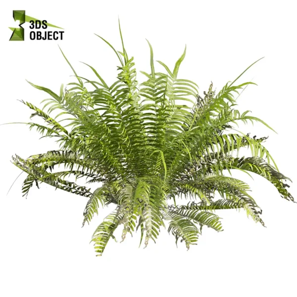 Full render of Bush + Fern Hybrid 3D Plant Model