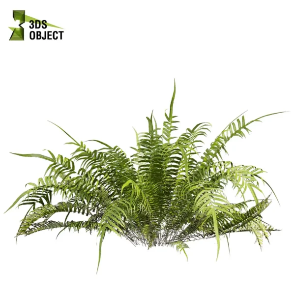 Downloadable Bush + Fern Hybrid 3D Plant Model