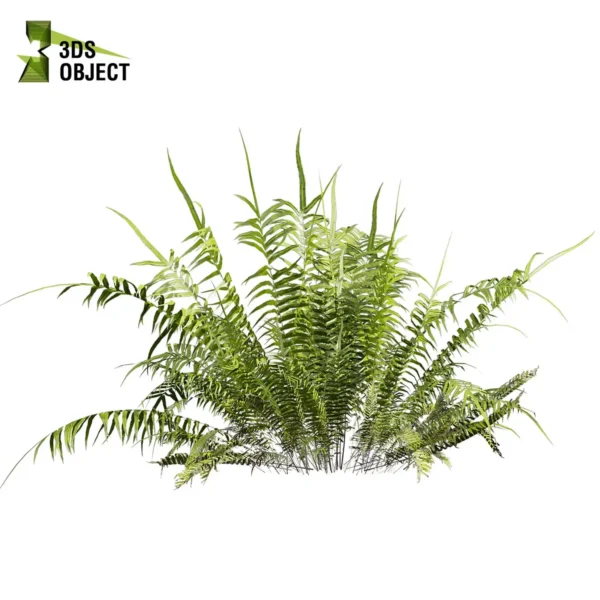 Bush & Fern Hybrid 3D Plant Model