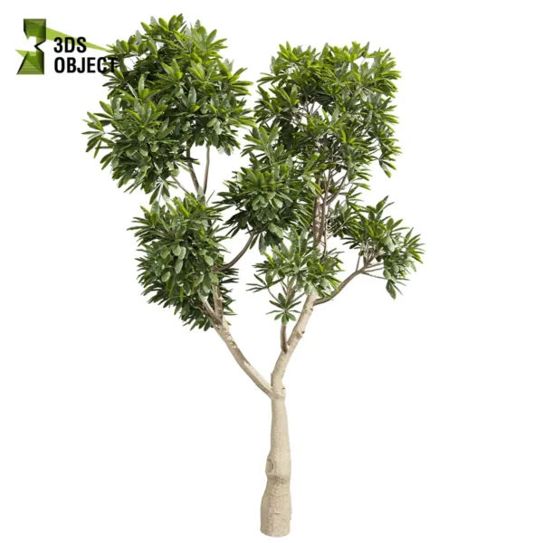 Singapore graveyard flower 3D tree model collection