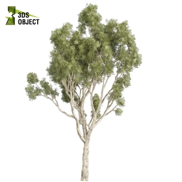 3d bush plant models botanical Visualization Landscape Foliage Vegetation buy purchase Rendering Environment tree Design high low poly greenhouse balcony decorative hamedorea 3D architectural visualization cinema 4d 3ds max blender enscpae fbx obj Rhino Sketchup lumion eucalyptus scoparia