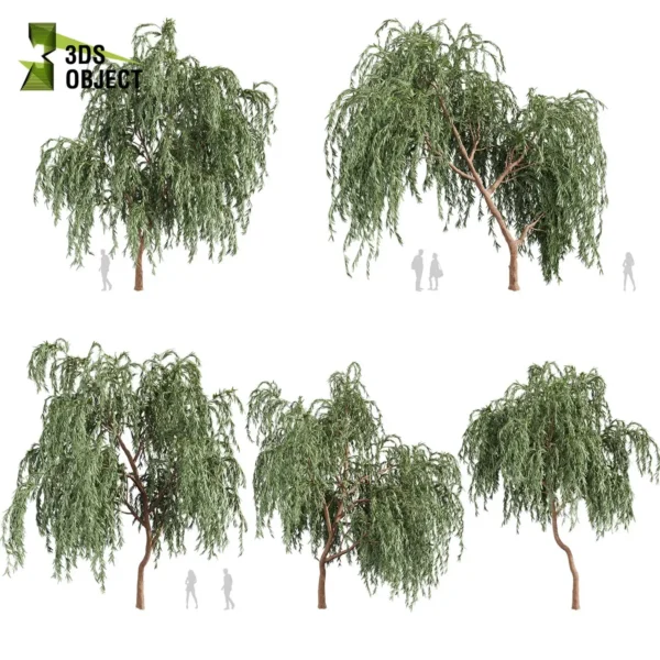 3d bush plant models botanical Visualization Landscape Foliage Vegetation buy purchase Rendering Environment tree Design high low poly greenhouse balcony decorative hamedorea 3D architectural visualization cinema 4d 3ds max blender enscpae fbx obj Rhino Sketchup lumion eucalyptus caesia